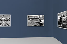 KINABALU PHOTO FESTIVAL 2020 KINABALU PHOTO FESTIVAL